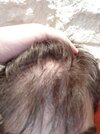 IMG_20201028_141738.jpg