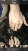 FEF70C04-377C-43EB-9867-78268318C225.png