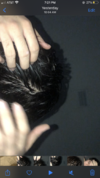 36928DD4-E794-4510-B90D-1FA05F6648A5.png