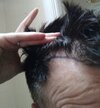 IMG_20200416_104810.jpg