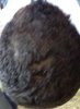 IMG_2681.jpg IMG_2681.jpg