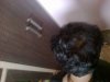 main-qimg-2eb28f8fb7c0e828ffdc241bfbde4cda.jpg main-qimg-2eb28f8fb7c0e828ffdc241bfbde4cda.jpg