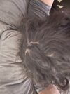 7CEC9589-3C29-4B87-B91C-9CF2CC225ABC.jpeg