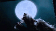B3E67131-EBA9-4FFA-A430-6E7EBD31FCDE.gif