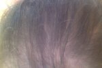 Photo on 6-30-19 at 5.42 PM #2.jpg