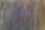 Photo on 6-30-19 at 5.42 PM #3.jpg