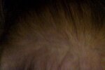 Photo on 8-10-19 at 12.18 PM #3.jpg