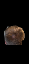 9D4D6612-F5B1-4236-A415-9E44EB28B8AE.png