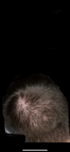 0933CB1C-79BB-4606-A599-114A26C43772.png