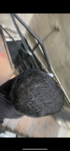 4FEE5595-CA80-4177-9788-B050C205029C.png