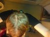 hairlogsep2.jpg