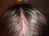 hairlogsep3.jpg