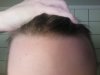 hairlogsep5.jpg