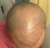 241065539_920429605207867_8088508054778150331_n.png