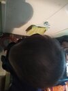 IMG_20210918_222306.jpg