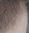 centre zoom.png