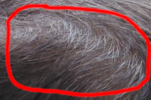 crown zoom.png