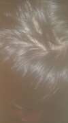 crown2.jpg