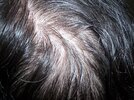 100_0517.JPG