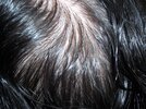 100_0518.JPG
