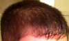 Hair3.JPG