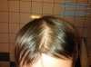 hairlog2014november1.jpg