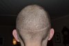 DSC_0109.jpg