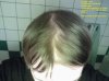 hairlogdec2014pic1.jpg