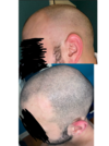 ABBB409E-E543-4FFC-A09E-B71AD0A81F59.png
