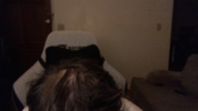 Webcam-1654677766.png