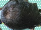 IMG_20220610_220109.jpg