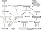 9647B366-DE7F-40D1-B12A-9D034A251615.jpeg