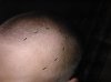 hair8.jpg hair8.jpg