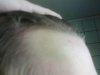 hairlogjan2015pic5.jpg