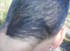 Picture 006.jpg