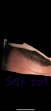IMG_0390.png