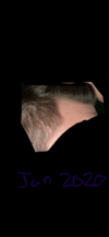 IMG_0392.png