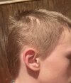 IMG_3528.jpeg