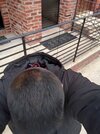 IMG_20240130_102611.jpg