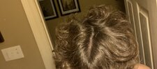 IMG_2779.jpeg