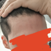 Sva0fxf.png