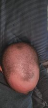 1000096705.jpg