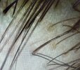 IMG_0468.jpeg