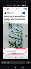 Screenshot_20250615-195215.png
