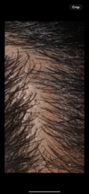 IMG_6230.png