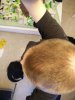 IMG20150312135536.jpg