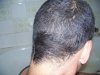 Picture 014.jpg