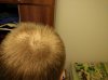 IMG20150329211514_1.jpg