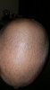 0423151322.jpg
