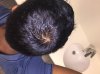 IMG_4111.jpg IMG_4111.jpg